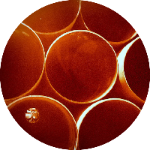 Casa Goyo - Tubos - Caños